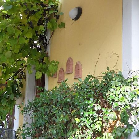 לוקה B&B Il Casale Di Nanni מראה חיצוני תמונה