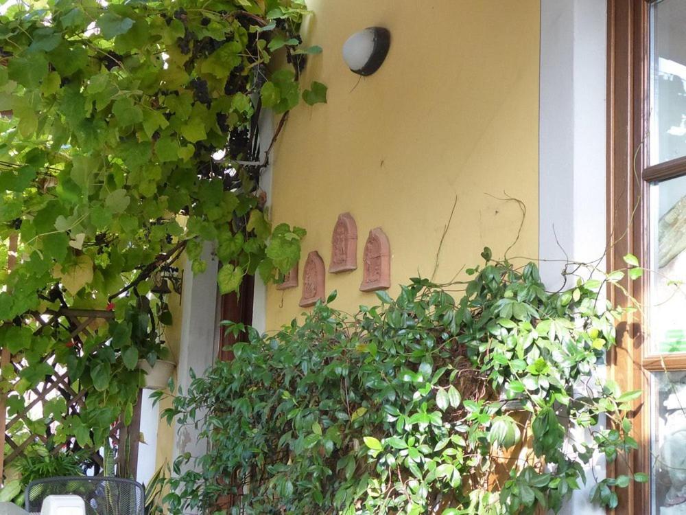 לוקה B&B Il Casale Di Nanni מראה חיצוני תמונה